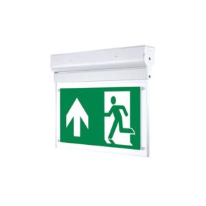 Ndricues Emergjence flamur LED 3H 2W parete IP20